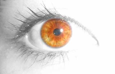 Gz Resimleri (1. Katalog)