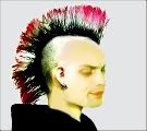 256_mohawk1-1.jpg picture by paolafromparis