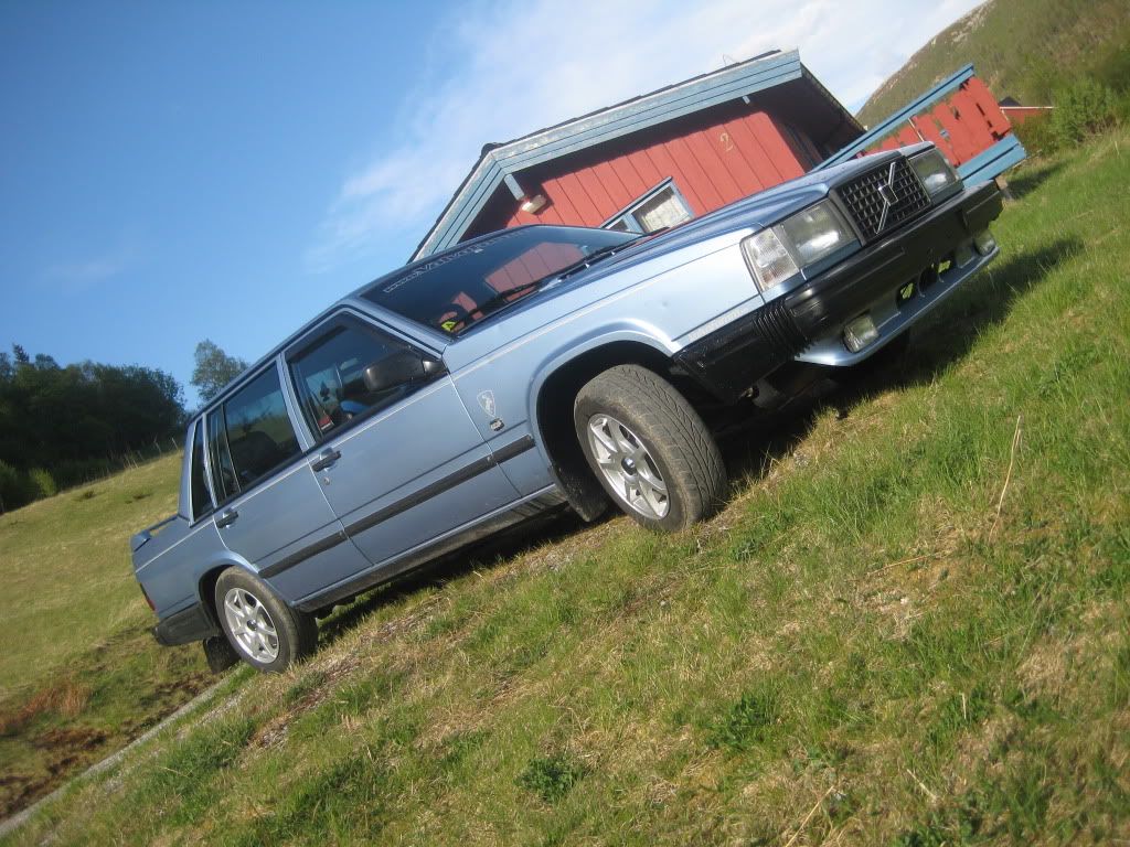 IMG_0803.jpg?t=1243013606