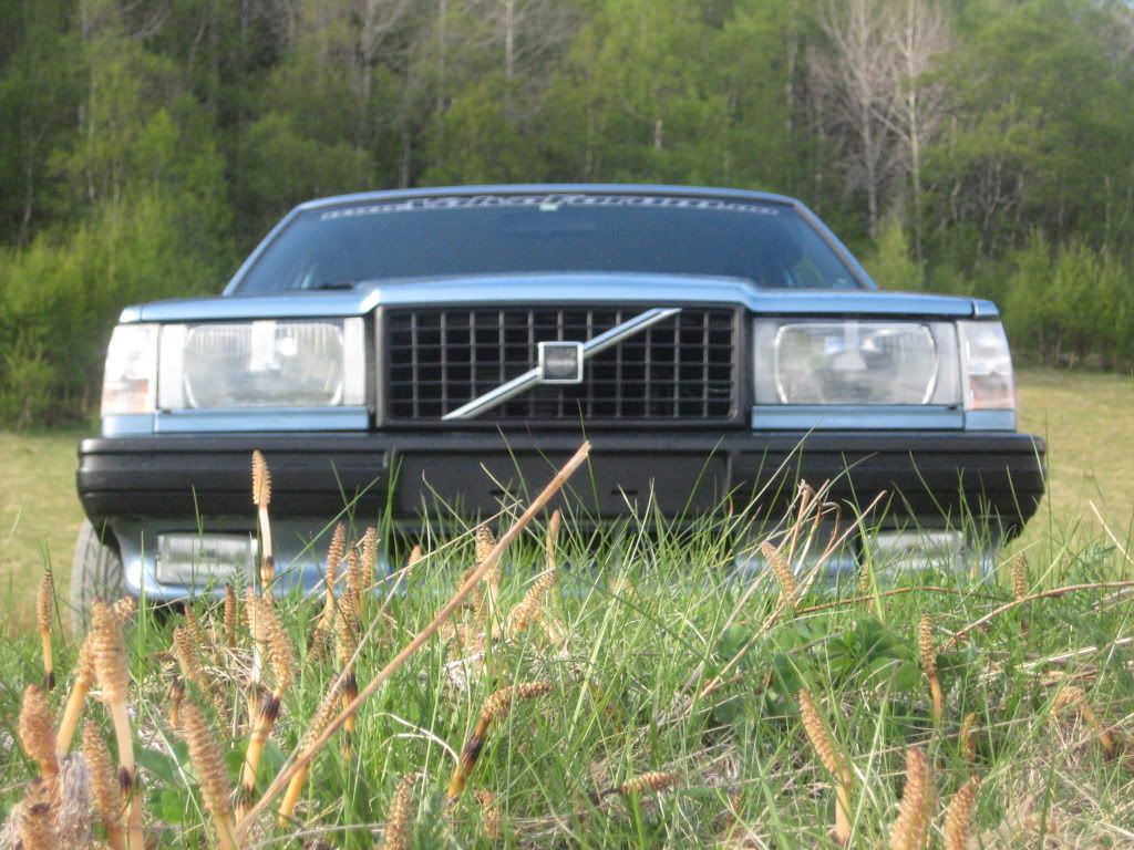 IMG_0812.jpg?t=1243013668