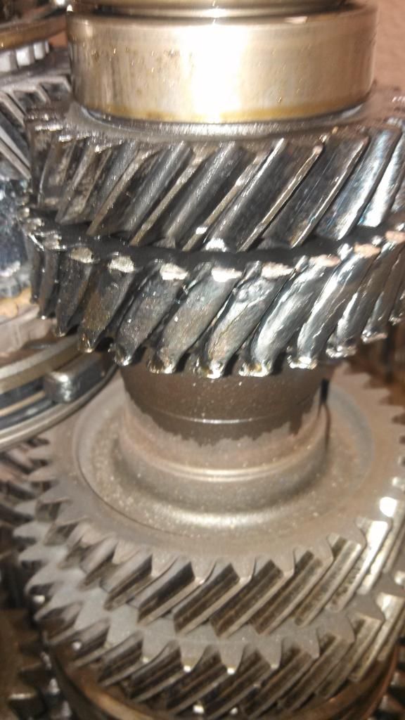 GSR tranny vs input shaft bearing