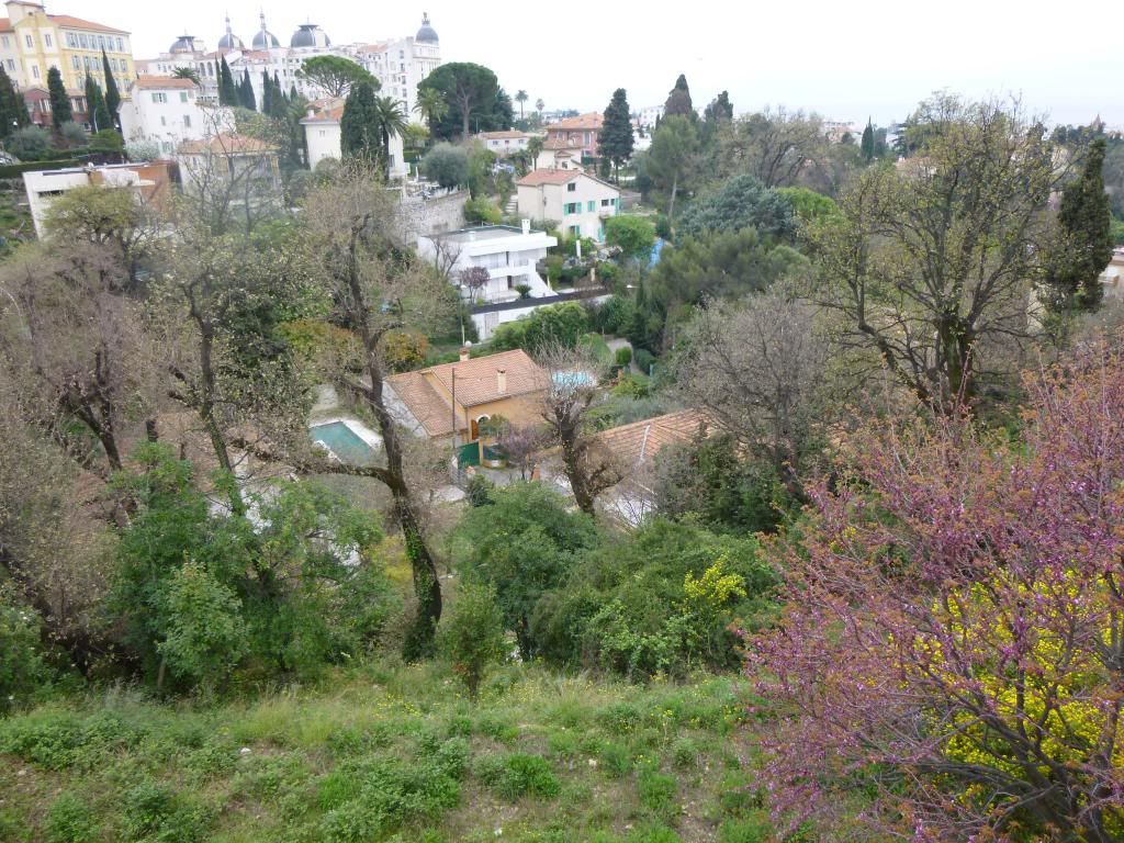 view from Cimiez 1
