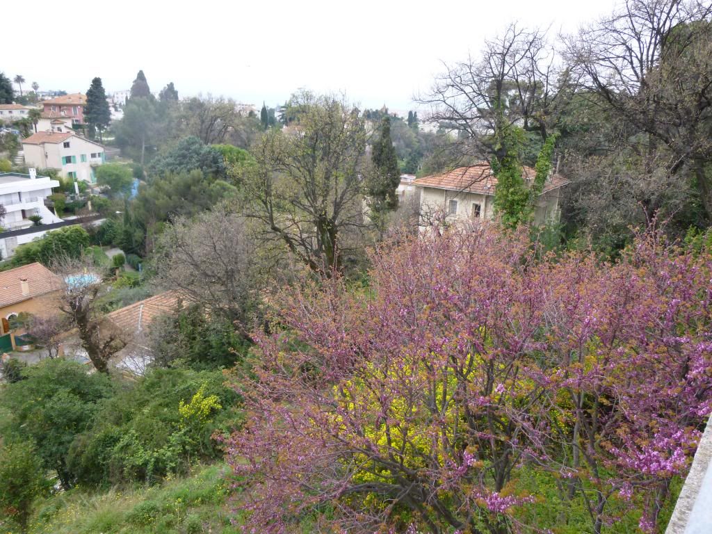 view from Cimiez 2