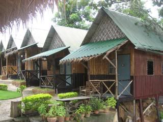 IMG_0438-1.jpg