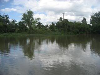IMG_0445-1.jpg
