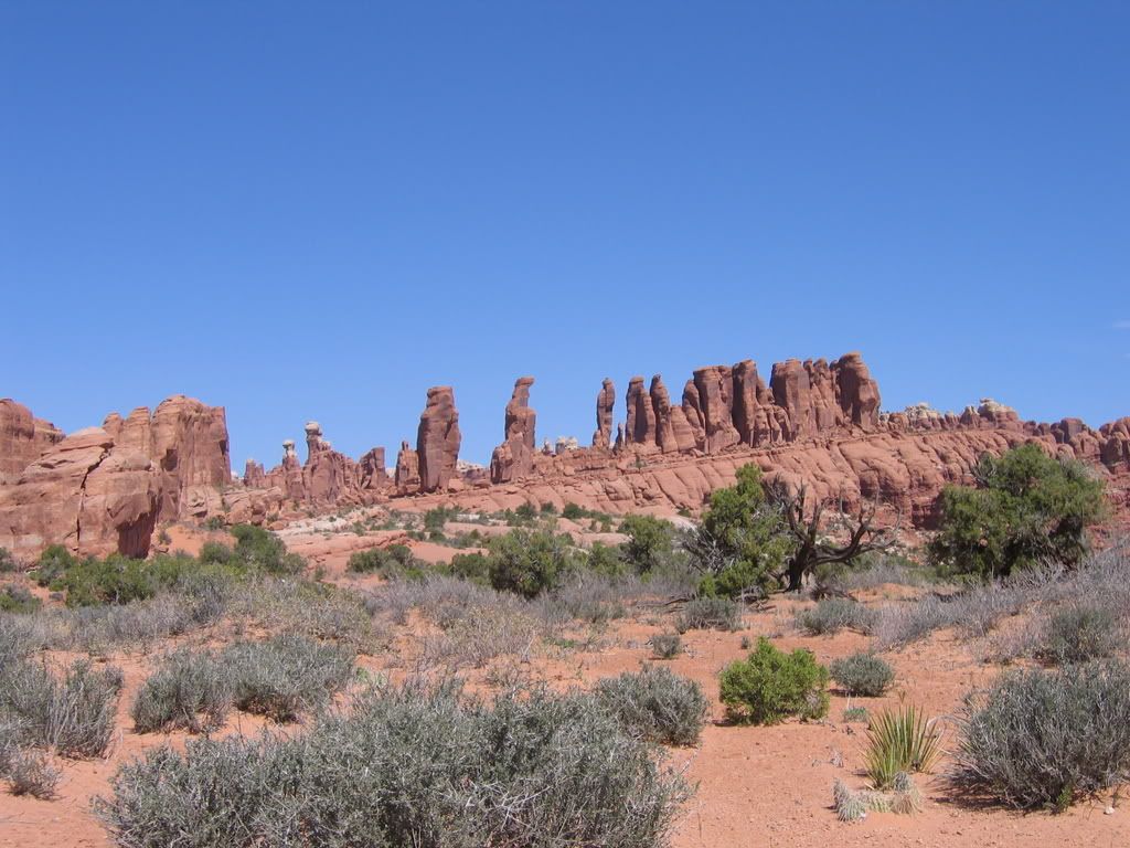 IMG_1537.jpg