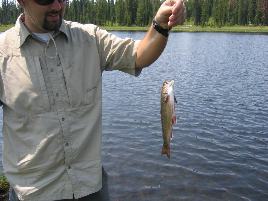 IMG_1845.jpg