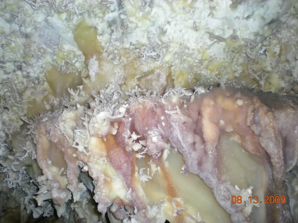 DSCN1908.jpg