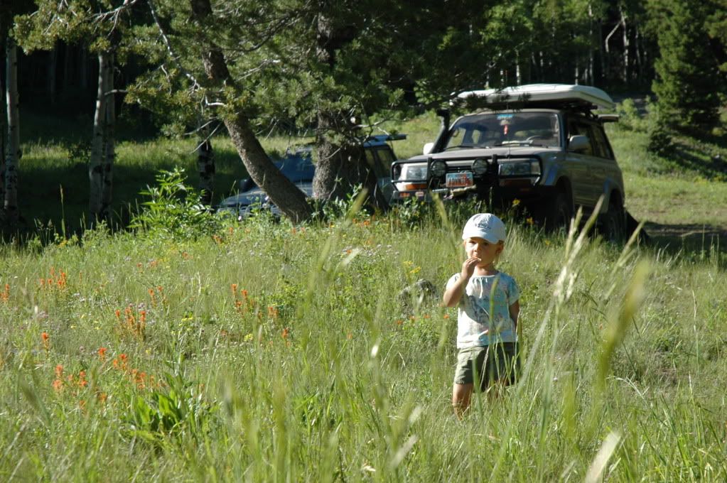 DSC_0064.jpg