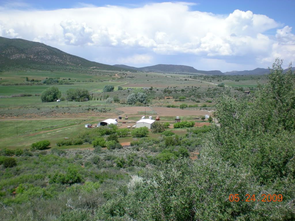 DSCN1528.jpg