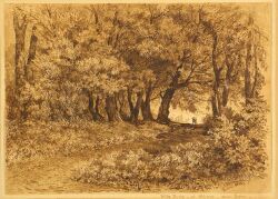one of the first Amerian professional artists