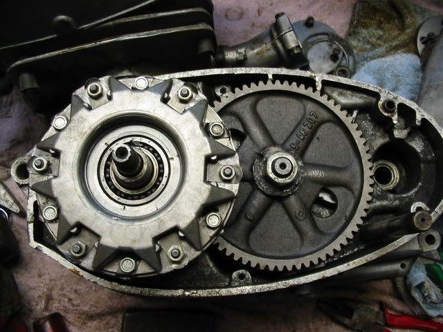 Bild