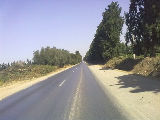 Posted Image