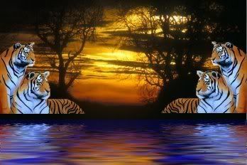  http://i157.photobucket.com/albums/t47/ricky_lango/myspace%20page/Tigers_sunset.jpg    ,    .