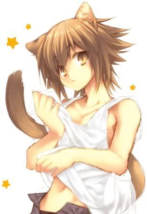 Chaz the kitten Chaz the kitten