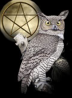 Wiccan Owl