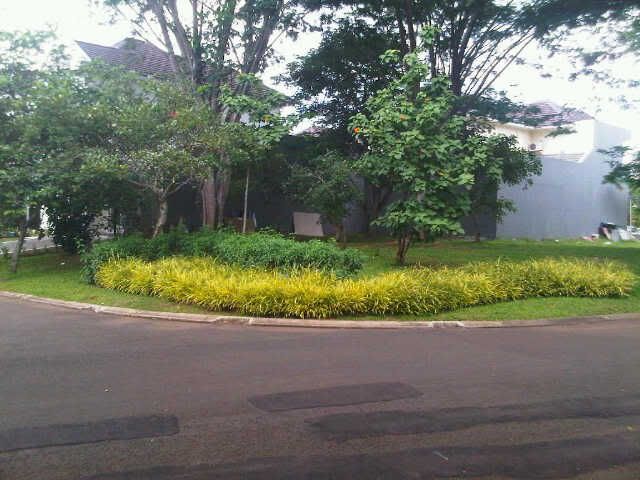 Forex di denpasar