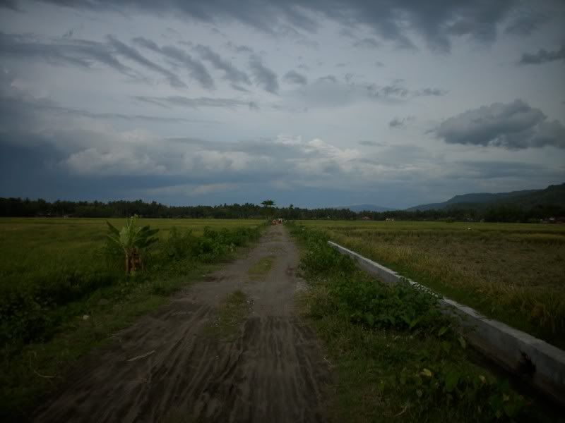 Pemandangan_sawah Pemandangan Sawah didusun kalangan