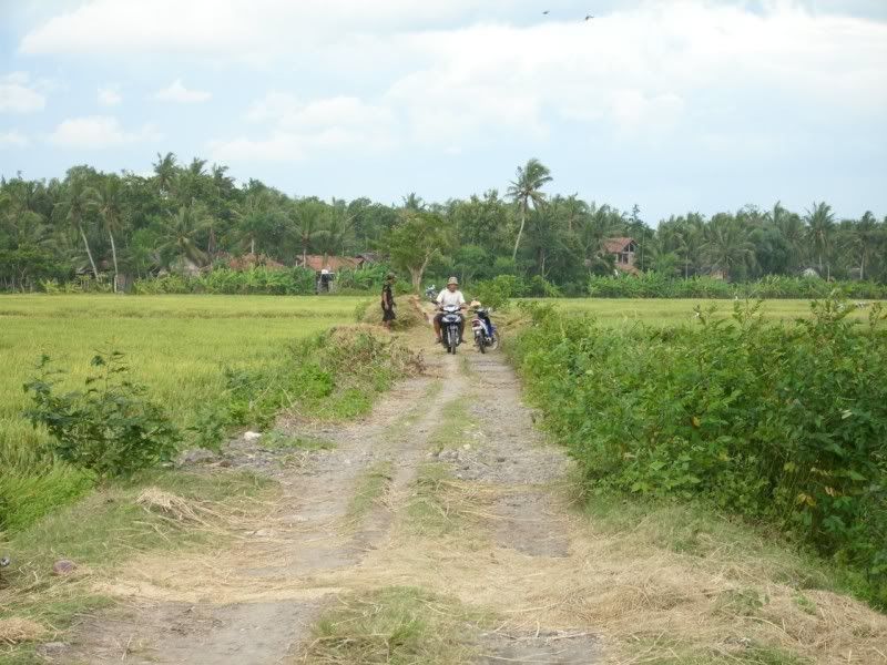 Pemandangan_sawah Pemandangan Sawah didusun kalangan