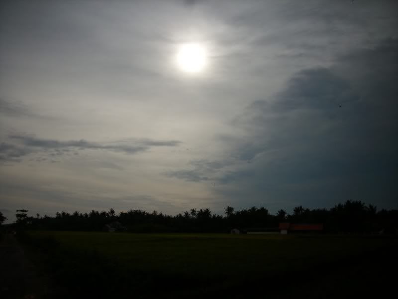 Pemandangan_sawah Pemandangan Sawah didusun kalangan