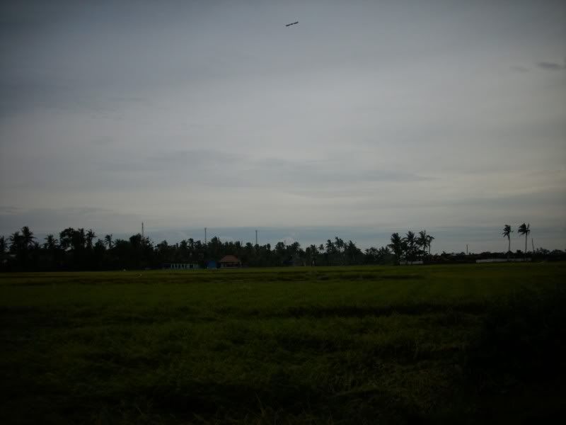 Pemandangan_sawah Pemandangan Sawah didusun kalangan