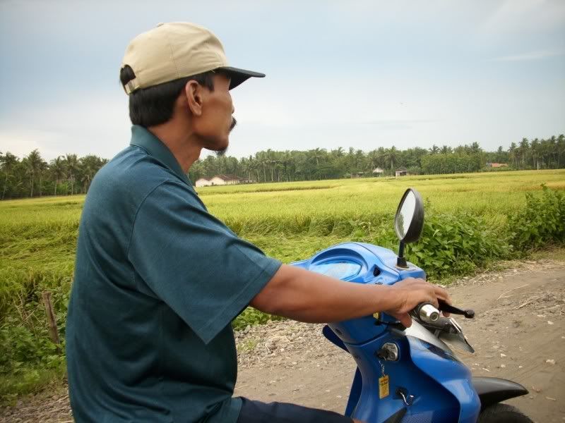 Pemandangan_sawah Pemandangan Sawah didusun kalangan