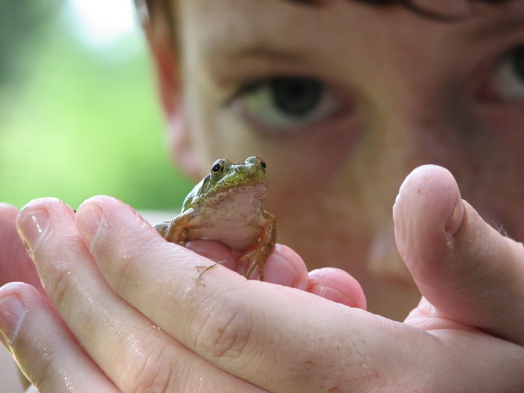 Boy & Frog Pictures, Images and Photos