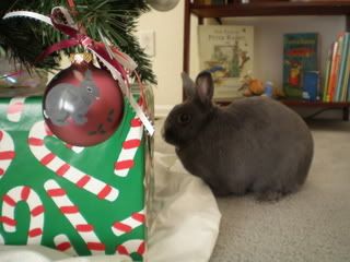 Gandalf Christmas 2007