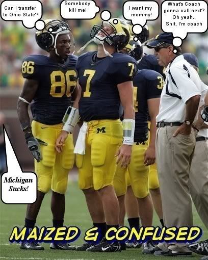 maizedandconfused.jpg