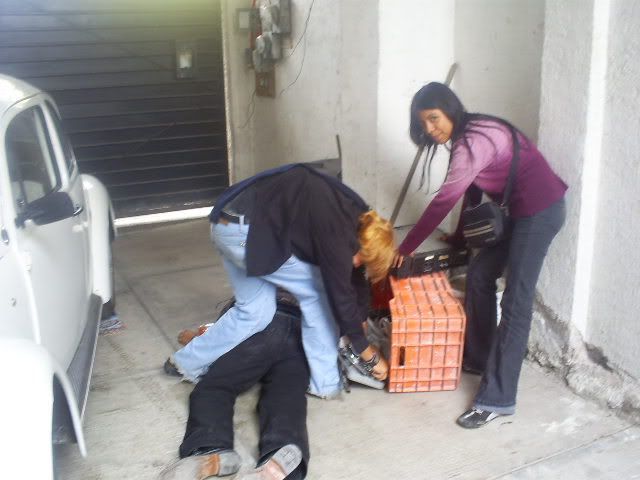 Photo Sharing and Video Hosting at Photobucket