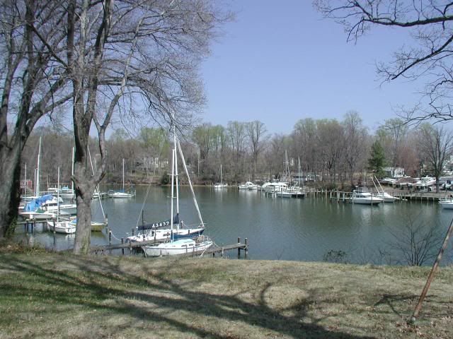 View From Living Rm. photo Const2Diningrmview_zps59f973ad.jpg