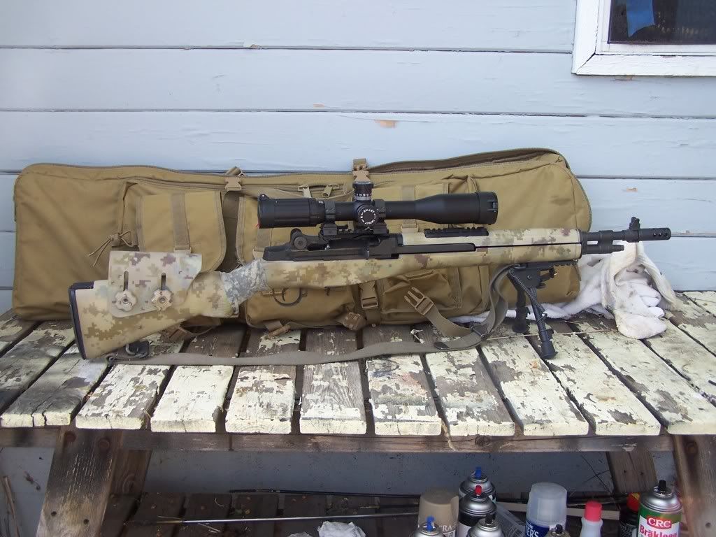 Painting Rifle