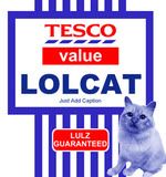 lolcat.jpg