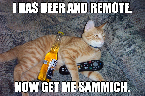 lolcatz_beer.png