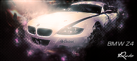 BMWZ4siggy.png