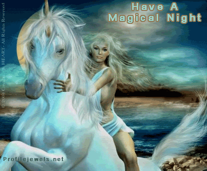 have a magical night Pictures, Images and Photos