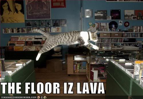 funny-pictures-lava-floor-cat.jpg