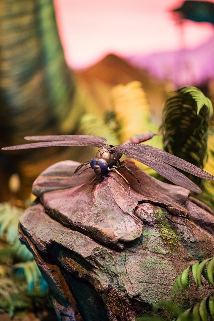 photo Carriatricks 9th Anniversary - 106_zpsds8fyt16.jpg