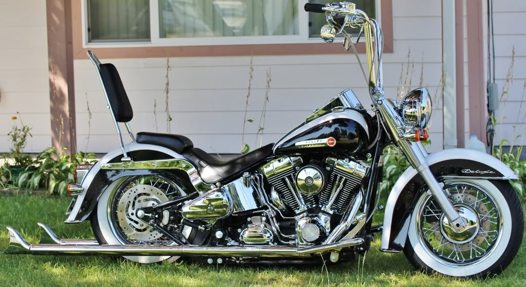 Deluxe Sissy Bar Pics Harley Davidson Forums 