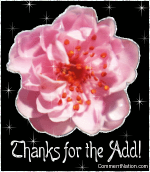 thanks_for_the_add_pink_flower.gif Pictures, Images and Photos