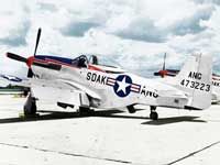 historical_aircraft_p-51.jpg picture by kbuzz_photos