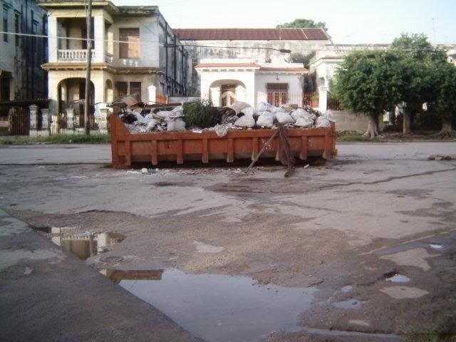 Dengue2.jpg picture by matoca