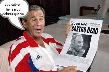 castro-bush-1.jpg picture by matoca