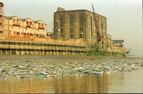 Plastic Bags Floating