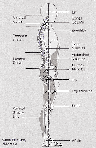 Plumb Line Dance