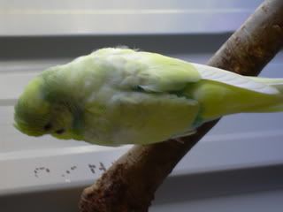 DSCN1207.jpg