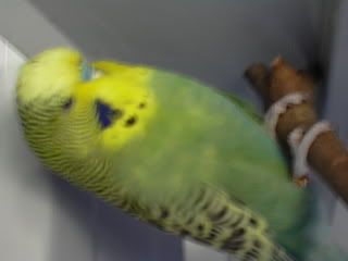 DSCN1208.jpg