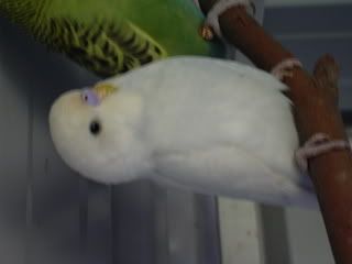 DSCN1213.jpg