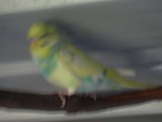 DSCN1218.jpg