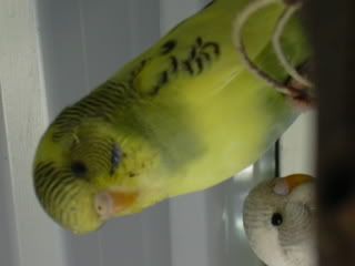 DSCN1221.jpg
